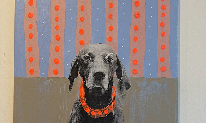 Hier zum Beispiel mit einem Bild vom Hund. © 1001 Projekte